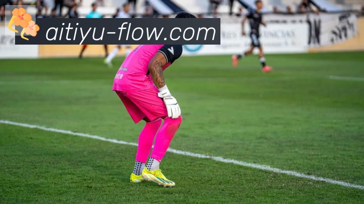 爱体育品牌故事